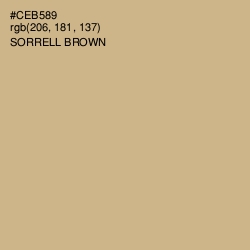 #CEB589 - Sorrell Brown Color Image